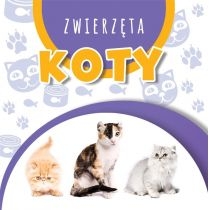 Produkt oferowany przez sklep:  Wstęgi kartonowe. Koty