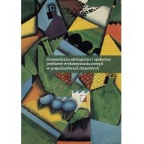 Produkt oferowany przez sklep:  Ekonomiczne ekologiczne i społeczne problemy wykorzystania energii w gospodarstwach domowych