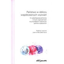 Produkt oferowany przez sklep:  Państwo w obliczu współczesnych wyzwań