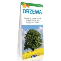 Produkt oferowany przez sklep:  Drzewa. ExpressMap