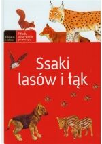 Produkt oferowany przez sklep:  Ssaki lasów i łąk-młody obserwator przyN