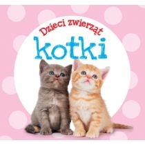 Produkt oferowany przez sklep:  Dzieci zwierząt - kotki