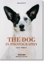 Produkt oferowany przez sklep:  The Dog in Photography