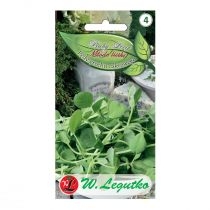 Produkt oferowany przez sklep:  W. Legutko - nasiona Baby Leaf - Groch siewny cukrowy 20 g
