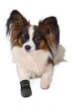 Produkt oferowany przez sklep:  Trixie Buty ochronne na łapę wodoodporne dla psów od rozmiaru M