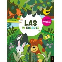 Produkt oferowany przez sklep:  W kolorze. Las