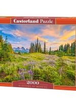 Produkt oferowany przez sklep:  Puzzle 2000 el. Blossoms of Morning Castorland