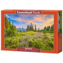 Produkt oferowany przez sklep:  Puzzle 2000 el. Blossoms of Morning Castorland