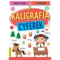 Produkt oferowany przez sklep:  Kaligrafia cyferek