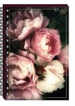 Produkt oferowany przez sklep:  Interdruk Album na zdjęcia B5 Roses 25 kartek