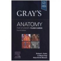 Produkt oferowany przez sklep:  Gray`s Anatomy For Students Flash Cards