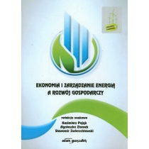 Produkt oferowany przez sklep:  Ekonomia i zarządzanie energią a rozwój gospodarcz