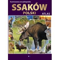 Produkt oferowany przez sklep:  Ilustrowana encyklopedia ssaków Polski. Atlas