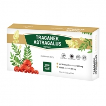 Produkt oferowany przez sklep:  Ginseng Traganek Astragalus Suplement diety 10 x 10 ml